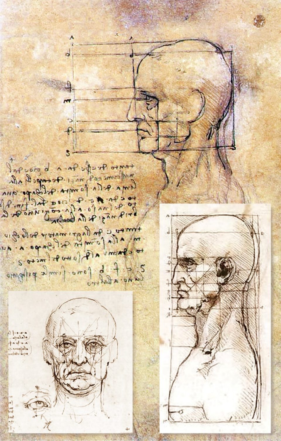 Têtes grotesques, Léonard da Vinci