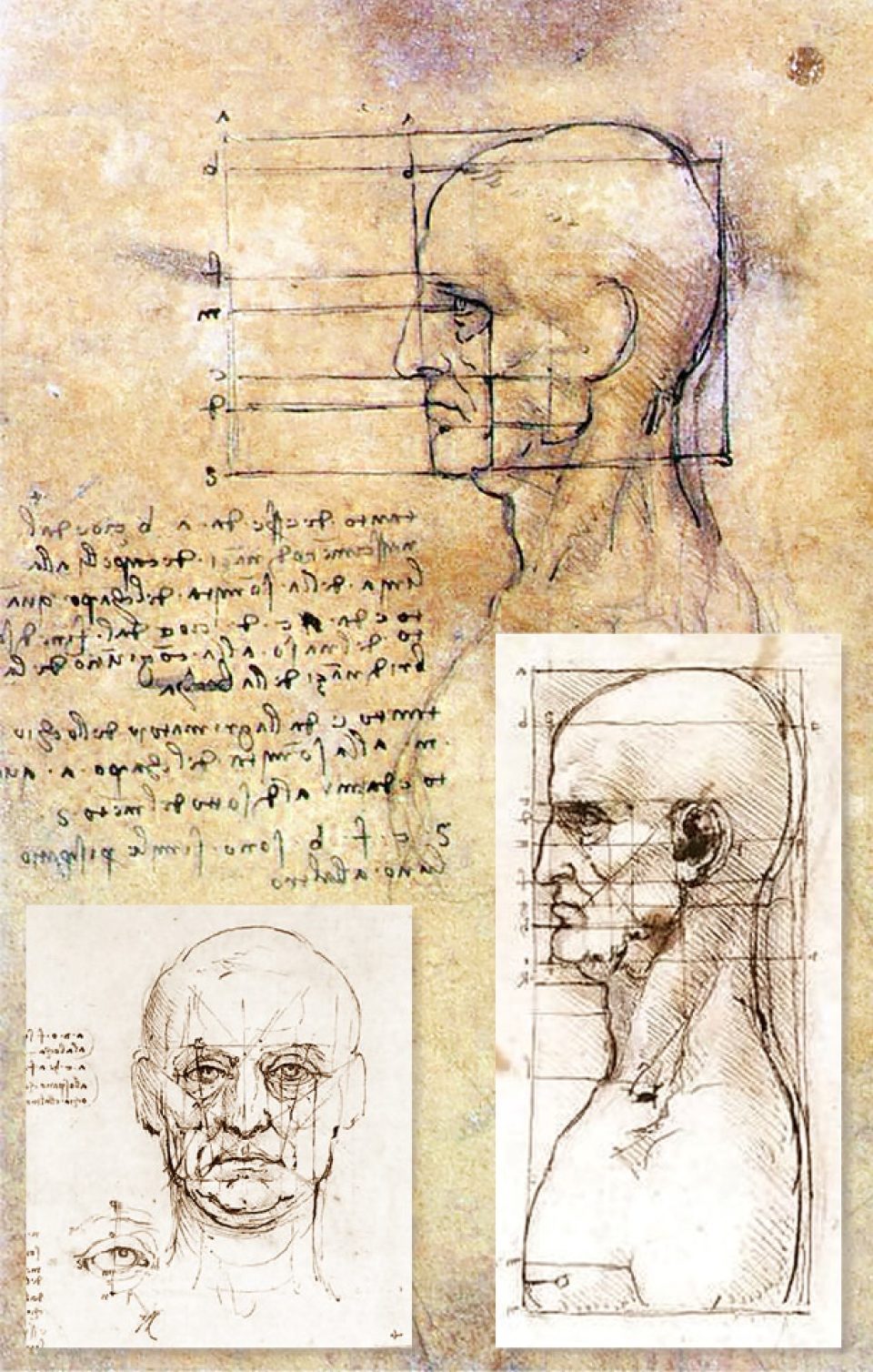 Grotesque heads by Leonardo da Vinci