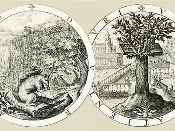 "DVRABO" (Resistiré) y "VICTRIX PATIENTIA DVRI" (Victoriosa paciencia en las dificultades), Gabriel Rollenhagen