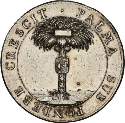 La palmera crece bajo un peso