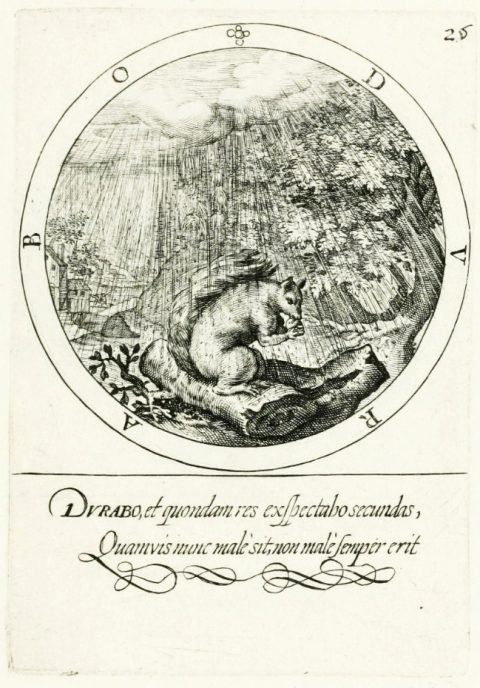  Resistiré, Nucleus emblematum selectissimorum, Gabriel Rollenhagen