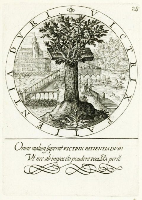 Victoriosa paciencia en las dificultades, Nucleus emblematum selectissimorum, Gabriel Rollenhagen