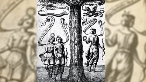 La virtud unida es más fuerte, Baro Urbigerus