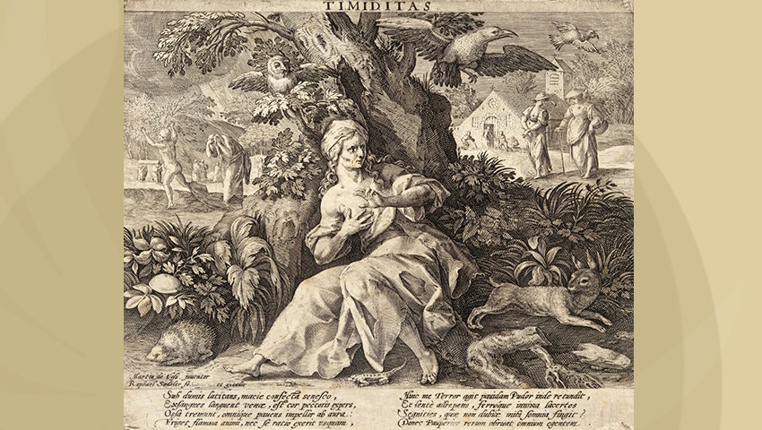 ”Timiditas”, Teama