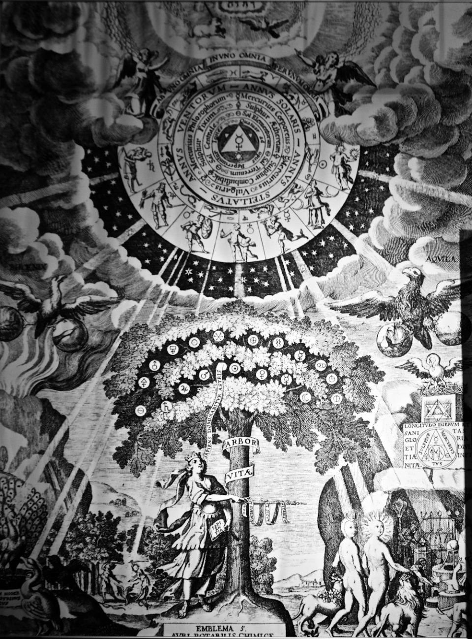 Oro potable preparado alquímicamente, Malachias Geiger Oro potable preparado alquímicamente, Malachias Geiger